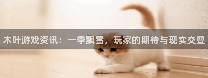 多彩娱乐平台官网客服电话：木叶游戏资讯：一季飘雪，玩家的期待