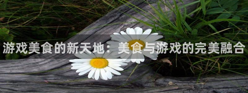 多彩娱乐是什么：游戏美食的新天地：美食与游戏的完美融合