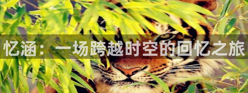 多彩娱乐注册服务条款：忆涵：一场跨越时空的回忆之旅