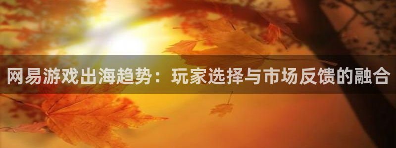 多彩娱乐线路测试：网易游戏出海趋势：玩家选择与市场反馈的融合